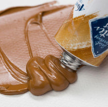 Load image into Gallery viewer, Master Class Extra Fine Oil Colors 12 x 18ml tubes set