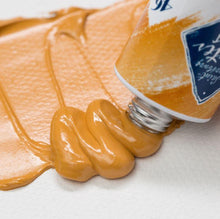 Load image into Gallery viewer, Master Class Extra Fine Oil Colors 12 x 18ml tubes set